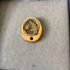 Terryberry Acorn Pin 🆕